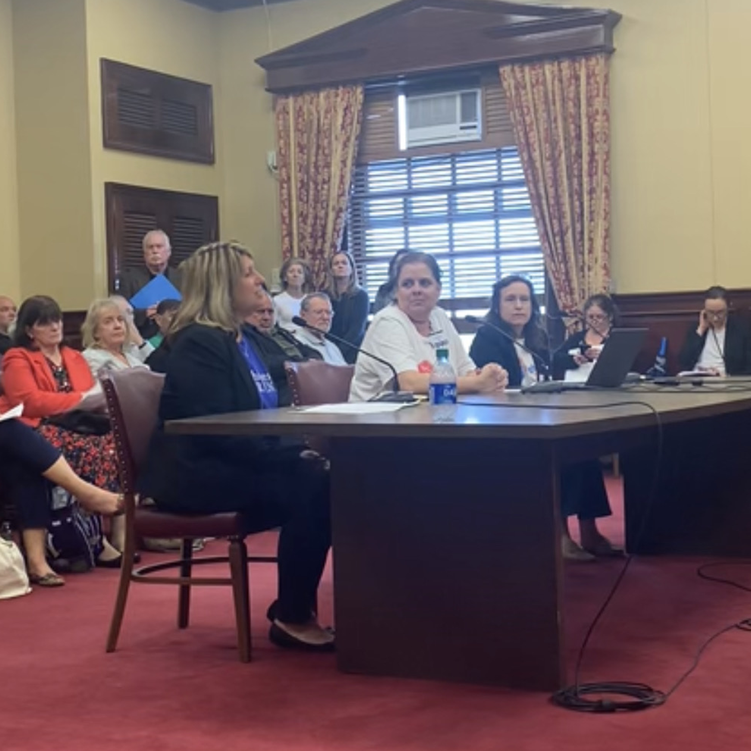 Advocacy testimony at Rhode Island State House